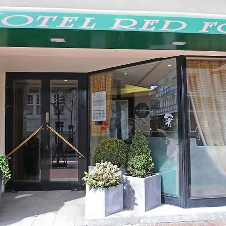 Red Fox Le Touquet