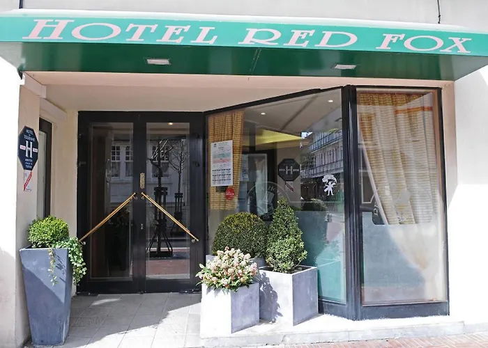 Red Fox Le Touquet